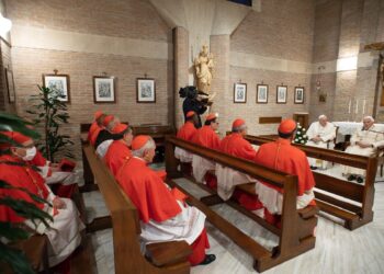 El papa Francisco deja su huella con la investidura de 13 nuevos cardenales
