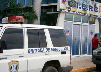 Pesquisas del Cicpc atraparon a una mujer por hurto