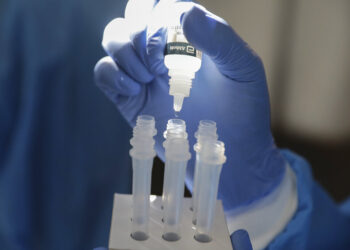 OPS: la vacuna está más cerca, pero la pandemia sigue