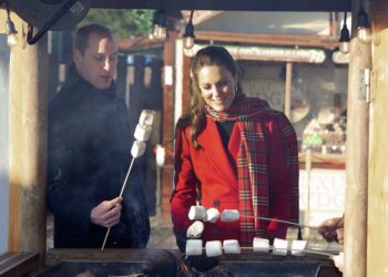 Funcionarios critican gira de Guillermo y Kate en pandemia