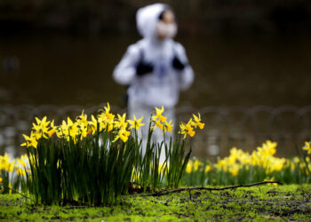 Bajan infecciones de coronavirus en Reino Unido