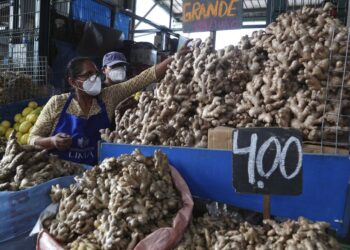 Peruanos recurren a plantas medicinales ante avance de Covid-19