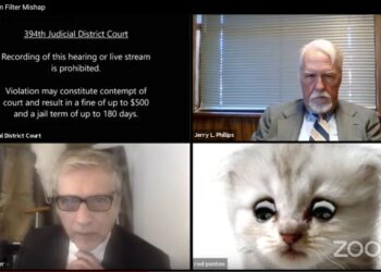 Video de “abogato” da respiro a un mundo harto de pandemia