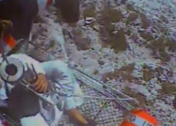 Cubanos varados durante 33 días en detención migratoria en EE. UU.