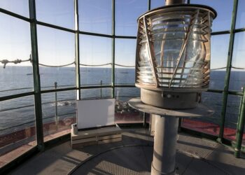 Enfermera sueca aislada una semana para festival de cine