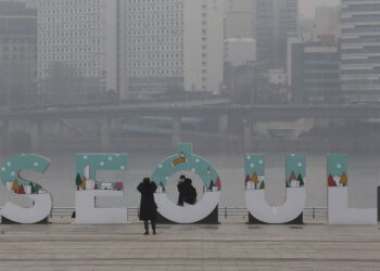 Seúl hará pruebas gratis de COVID-19 a las mascotas