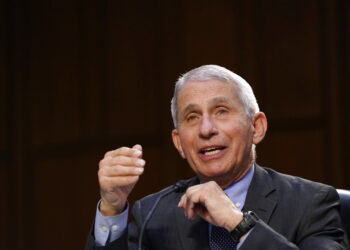 Científicos estudian si vacunados pueden contraer o transmitir Covid