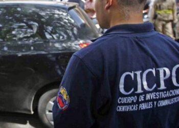 Atraparon a un par de supuestos desvalijadores de vehículos