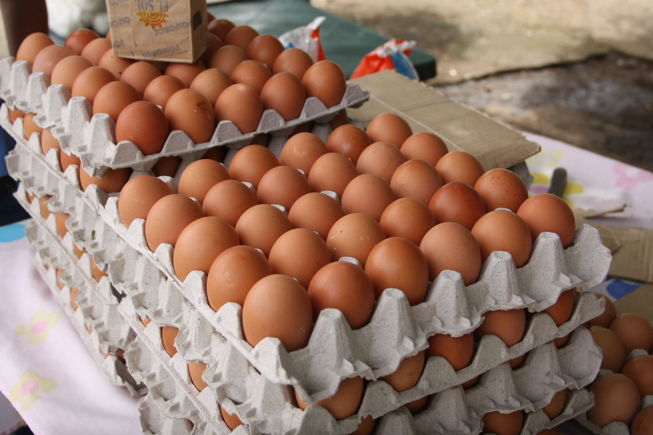 Dar Rebotar exagerar Precio del cartón de huevos fue incrementado cerca de 30% en comercios  porteños - El Tiempo