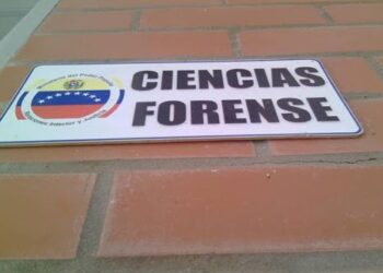 Polianzoátegui ultimó a presunto delincuente