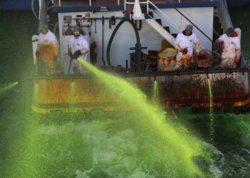 El río Chicago se tiñó de verde en una medida sorpresa de la alcaldesa de la ciudad