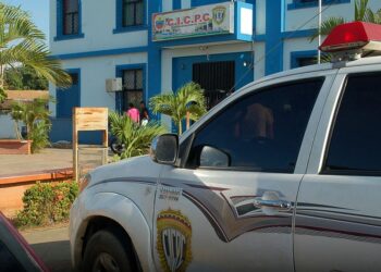 Detuvieron a tres hombres  por robo y desvalijamiento de vehículos