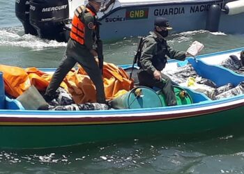 Decomisaron más de una tonelada de cocaína en la península de Araya (+Fotos)