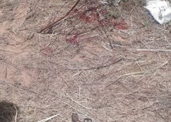 Policías abatieron a un presunto hampón en El Tigre