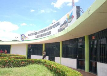 Detuvieron a un joven por golpear a una persona mayor
