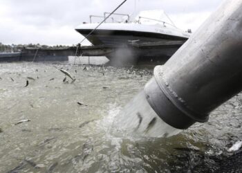 California transportó salmón al Pacífico por los bajos niveles del río