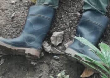 Oposición insta a denunciar "crímenes de lesa humanidad"