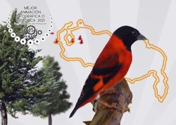 Cine animado del mundo galardonado en el Festival El Ojo Iluso 2021
