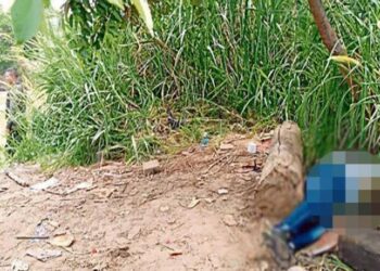 Localizan cadáveres de dos asesinados en trocha “El Águila” en zona de Ureña