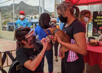 Jornada de atención veterinaria se realizó en Guanta