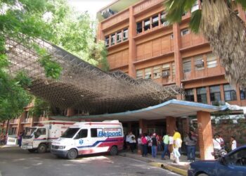 Murió adolescente al caer de una mata de mamón