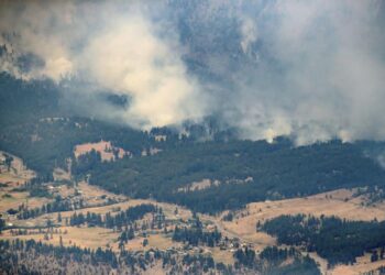 El número de muertos por la reciente ola de calor subió a 78 en Washington