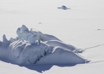 La "última área de hielo" del Ártico muestra un derretimiento antes de lo esperado