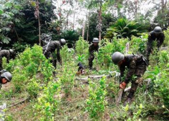 Colombia sigue siendo el principal productor de cocaína, según la ONU