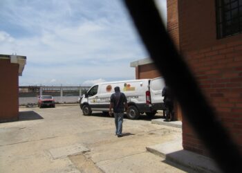 Murió niño al caerle un portón encima