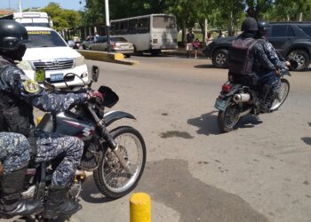 Capturaron a dos hermanos con súper marihuana