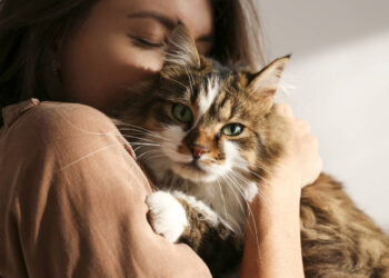 Toxoplasmosis: “los gatos no deben ser satanizados”