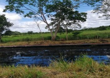 Denuncian derrame de petróleo en el sur de Maturín