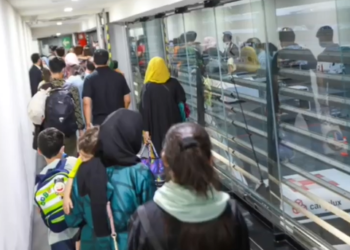 175 afganos arribaron a México en busca de refugio