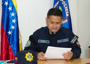 En ocho meses cayeron presos 79 individuos por hurto y robo de material estratégico
