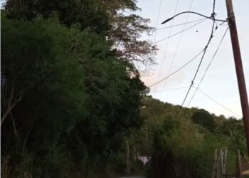 En el sector La Sierra de Nueva Esparta, usar el teléfono es un "suplicio"