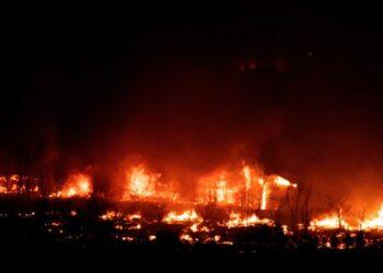 EE.UU.: Incendio consume casi 600 casas y obliga a evacuar localidades en Colorado