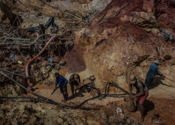 OMS: Se reducen los casos de malaria en Venezuela pero el país aún encabeza cifras en América