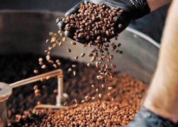Maximiliano Pérez: En Venezuela se produce menos del 6% del café que en 1998