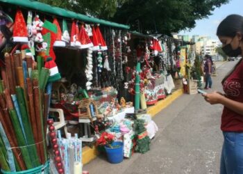 Con 80 mil pesos se arma un pesebre básico en Táchira