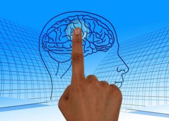 Cuando el cerebro envejece, llega la rigidez cognitiva