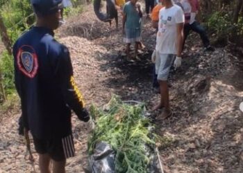 Rescataron cadáver de joven que tenía cinco días desaparecido