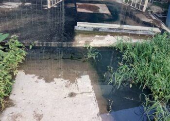 Colapso de cloacas en Los Cerezos pone en riesgo el funcionamiento del refugio y comedor Redimi