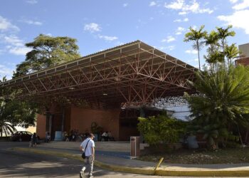 Una niña falleció luego de ser mordida por una cascabel