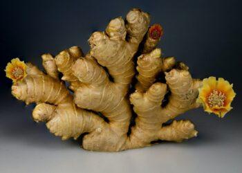 El jengibre aporta un sinfín de beneficios