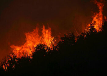 En medio de altas temperaturas, persisten los incendios en el sur de Argentina