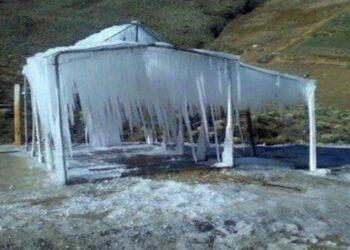 Bajas temperaturas congelan cosechas en el páramo merideño