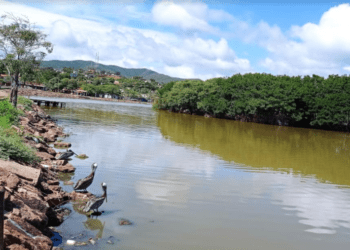 Denunciarán problema de laguna de Puerto Píritu ante la Comisión de Ambiente de la AN