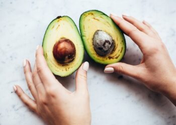 Semilla de Aguacate