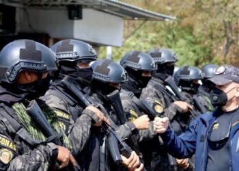 Gobierno asegura haber desmantelado banda delictiva en Tejerías