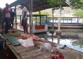 Pescadores de Guanta han sobrevivido a punta de trueques ante la carencia de gasolina